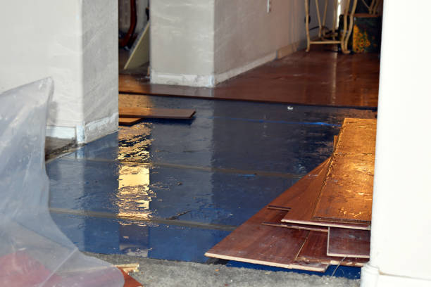 Professional Water Damage Restoration technician working in Bailey, CO